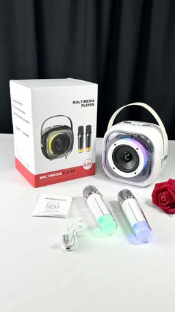 Multimedia player K29 + 2 microphones