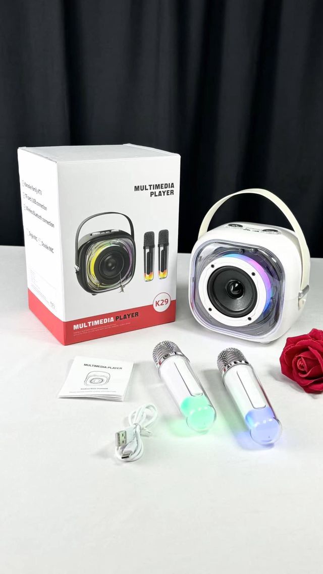 Multimedia player K29 + 2 microphones