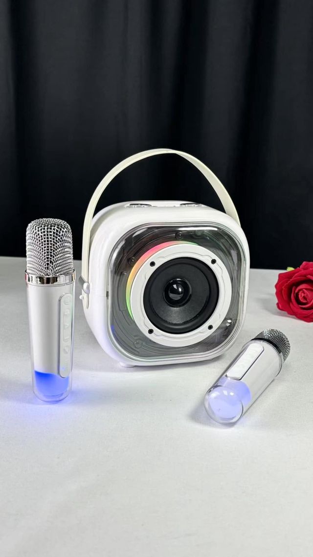 Multimedia player K29 + 2 microphones