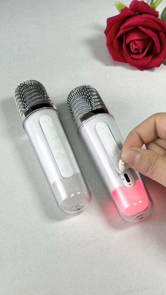 Multimedia player K29 + 2 microphones