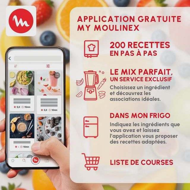 Moulinex PerfectMix+ LM81GD10 Blender  2L 1200W