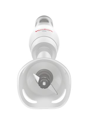 Mixeur Moulinex  Easy Chef 450 W DD45A110