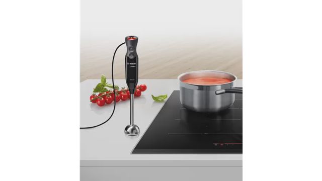 Bosch ErgoMixx Mixeur plongeant  MS61B6150