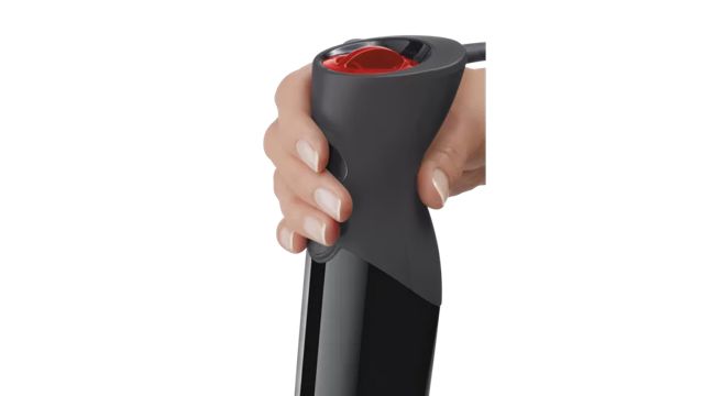 Bosch ErgoMixx Mixeur plongeant  MS61B6150
