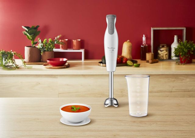 Moulinex Dailychef  Mixeur 2en1 2vitesses DD552110