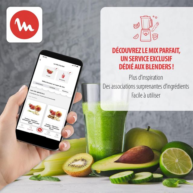 Moulinex blender mix & move lm15fd10
