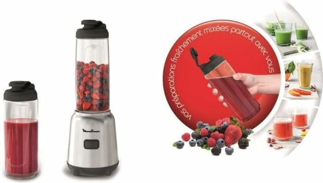 Moulinex mix move Mini blender lm15fd10