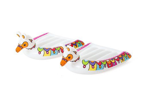 Bestway Toboggan aquatique de jardin 52320 Algérie